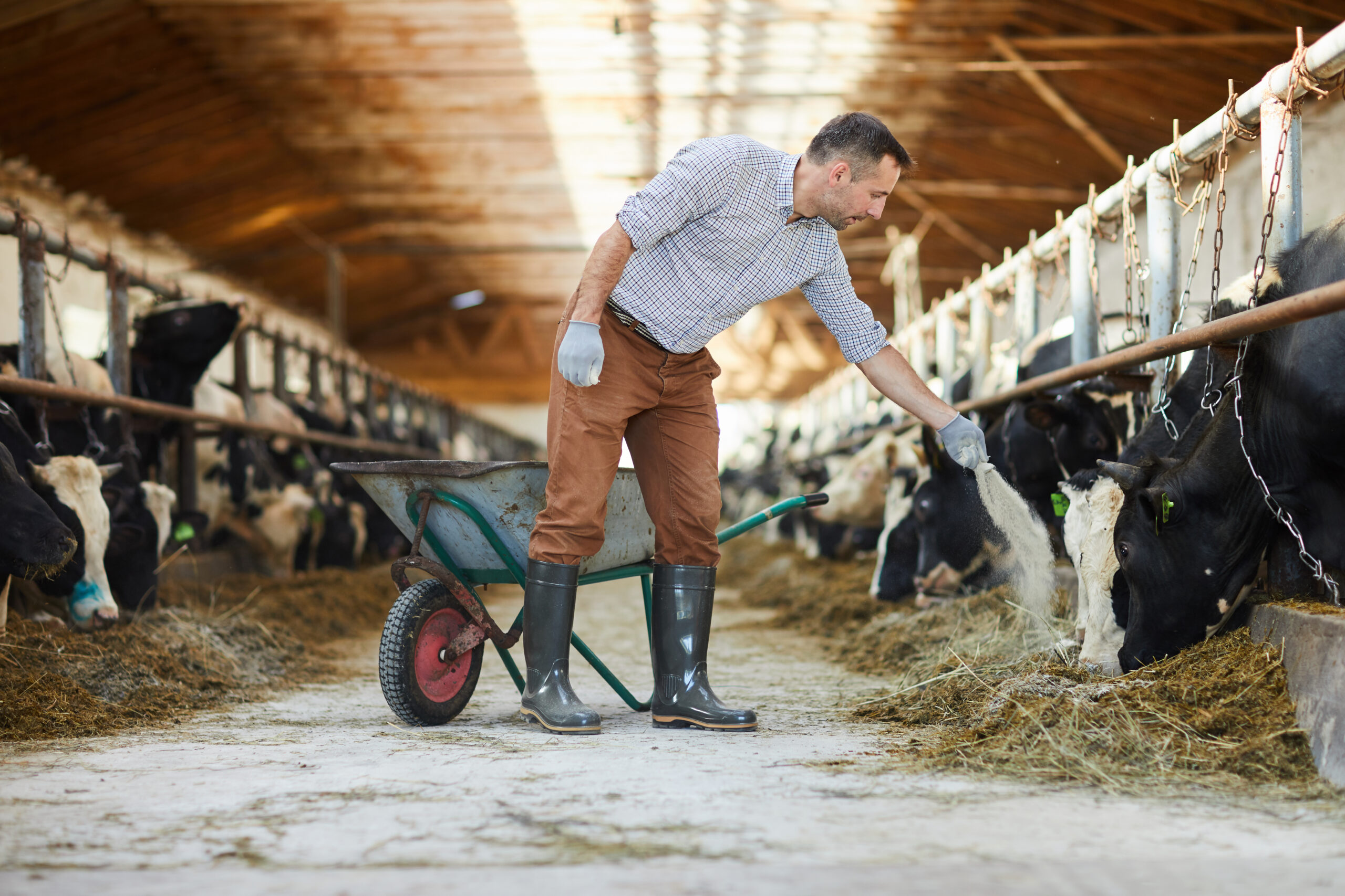 NNR Livestock Logistics Solutions